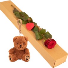 Luxury gift box with red rose + teddy bear keychain (Gift box with red rose + heart + teddy bear keychain)