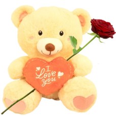 Cream teddy bear 35cm with red I love you heart (Cream teddy bear with red I love you heart)