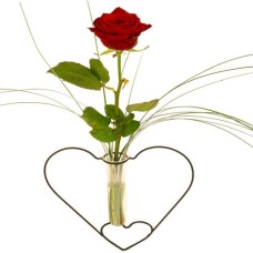 Fresh red rose in heart frame (Fresh red rose in heart frame)