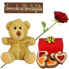 Chocolate plush toy package + red rose pour (Chocolate package love)