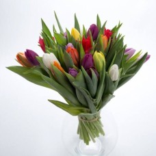 Mixed Tulips (Exclusive bouquet)