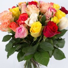 Colored Roses (Small)