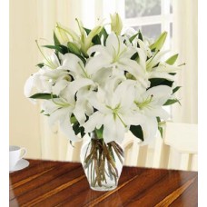 Rare Beauty (30 White Lilies)