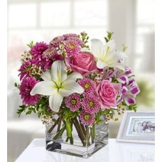Youre Special