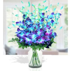 Blue Moon (20 Blue Orchids)