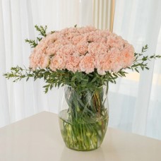 40 Pink Carnations in Vase (Classic)