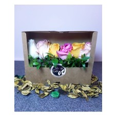 Roses Garden