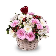 Pink and White Mini Gerberas