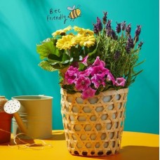 Summer Outdoor Planter