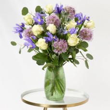 Violet Delights + 50% Extra Free