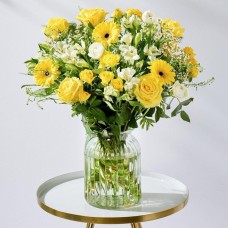 Spring Sunshine