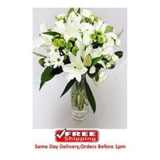 Sympathy Lilies Sympathy Lilies