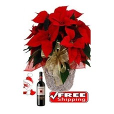 Poinsettia Wine