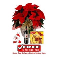 Poinsettia, Wine & Panettone