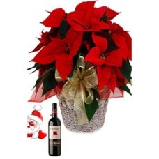 Poinsettia Wine