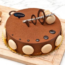 Royal Chocolate Spray Cake