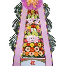 Standing spray-3 step-3 (Small)