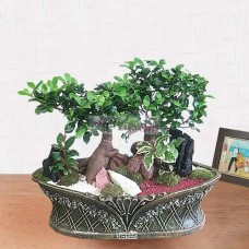 Penda jinsaeng-K (Small)