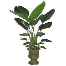 Bird of paradise flower (Small)