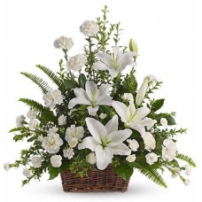 Beauti Bloom-23 (Small)