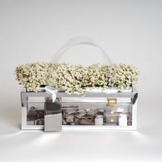 The Silver Bag