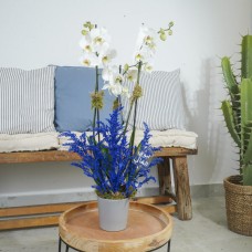 White Blue I