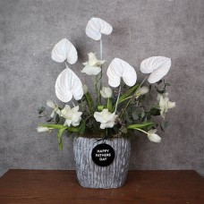 Fathers Anthurium