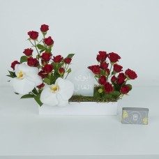 Red White I
