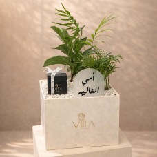 Ivy