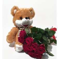 Teddy Bear and Red Roses (7 Roses)