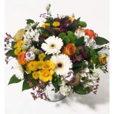 Admirable - gerbera, ranuculus, alstromeric, lisianthus, etc (Classic)