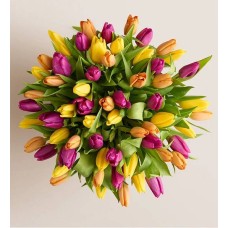 Deluxe Spring Assorted Tulip Bouquet (Bouquet Only)