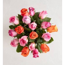 Mother’s Day Sorbet Roses: 18-36 Stems (18 Stems, Bouquet Only)