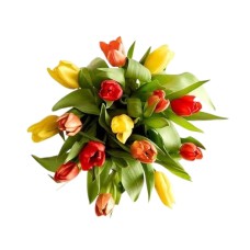 Our Favorite Fall Tulips (15 Stems, Bouquet Only)