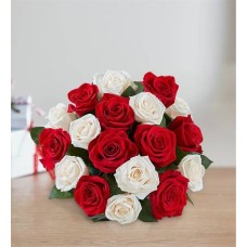 Peppermint Rose Bouquet 36 Stems with Red Vase, Suncatcher & Chocolate