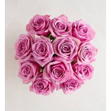 Passion for Purple Roses (12 Stems, Bouquet Only)