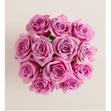 Mother's Day Passion for Purple Roses (12 Stems, Bouquet Only)
