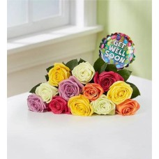 Get Well Assorted Roses: 12-24 Stems (12 Stems Bouquet Only)