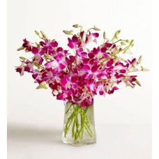 Exotic Breeze™ Orchids (10 Stems with Blue Vase &amp; Windchime)
