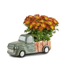 Valley Farms Harvest Truck