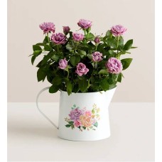 Lavender Blooming Rose (Lavender Blooming Rose)