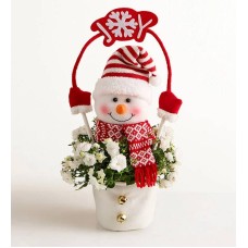 Frosty the Snow Plant (Frosty the Snow Plant)
