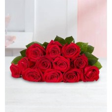 One Dozen Romantic Red Roses (Bouquet Only)