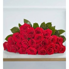 Sparkle Her Day Two Dozen Red Roses (Bouquet Only)