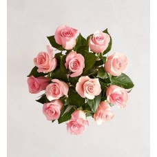 Precious Pink Roses, 12 Stems (Bouquet Only)