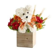 a-DOG-able® for Fall