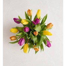 Assorted Tulip Bouquet (15 Stems, Bouquet Only)