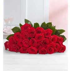 Two Dozen Romantic Red Roses with Red Vase, Bear & Chocolate