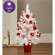 Peppermint Jubilee Tree- 30"