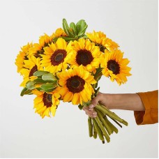 12 Stem Sunflower